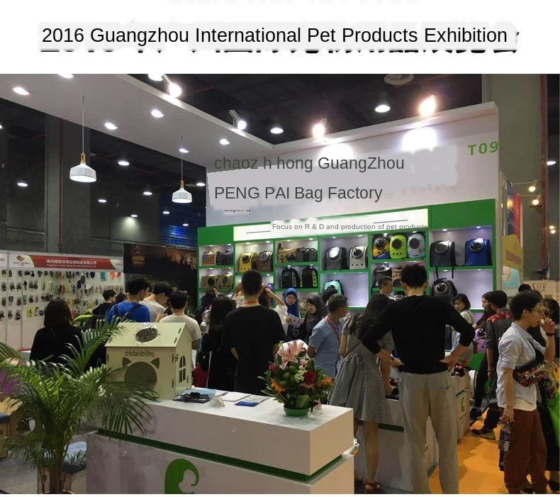 441080374044652467_01