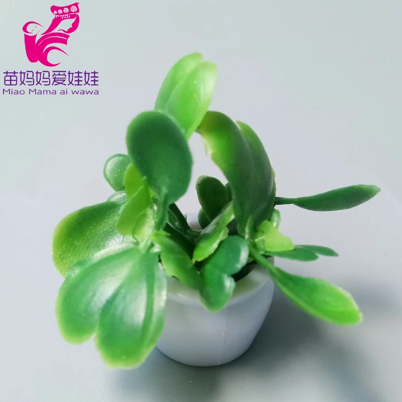 IMG_20200723_115439 拷贝