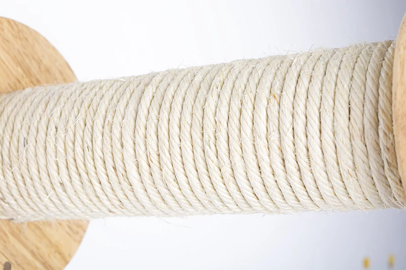 O1CN01tgmsjK1vWUGsPJqze_!!462886180