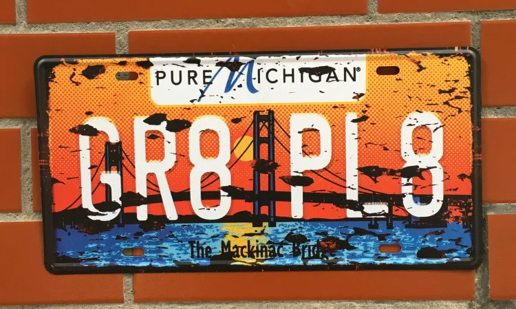 3577598519_788987331