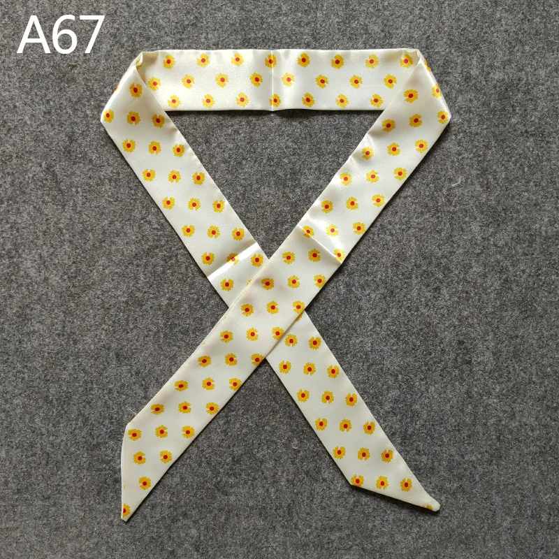 A67