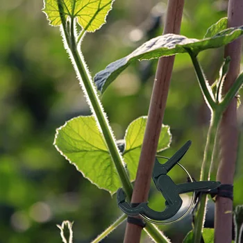 

With Twist Tie Tool Vines Accessories Fastener Plant Clip Set Grape Flower Vegetables Greenhouse Stalks Reusable Support Stems