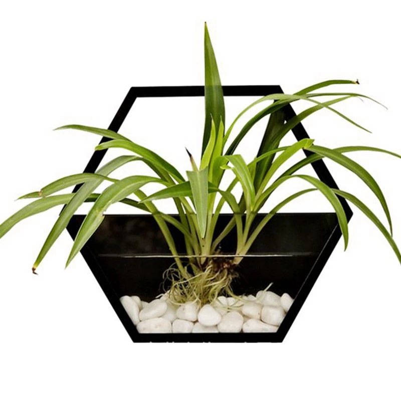 Brief Handmade Acrylic Chlorophytum Flower Pot Hanging Wall Scindapsus Hydroponics Plant Vase Home Living Room Modern Decorati