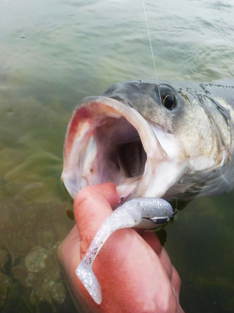 Pesca Рыболовная Приманка Мягкая силиконовая 8 шт. 7,5 см/4,6 г Esfishing Ammonite Shad " кренкбейт Карп Снасти для ловли форели зеленый Спиннер