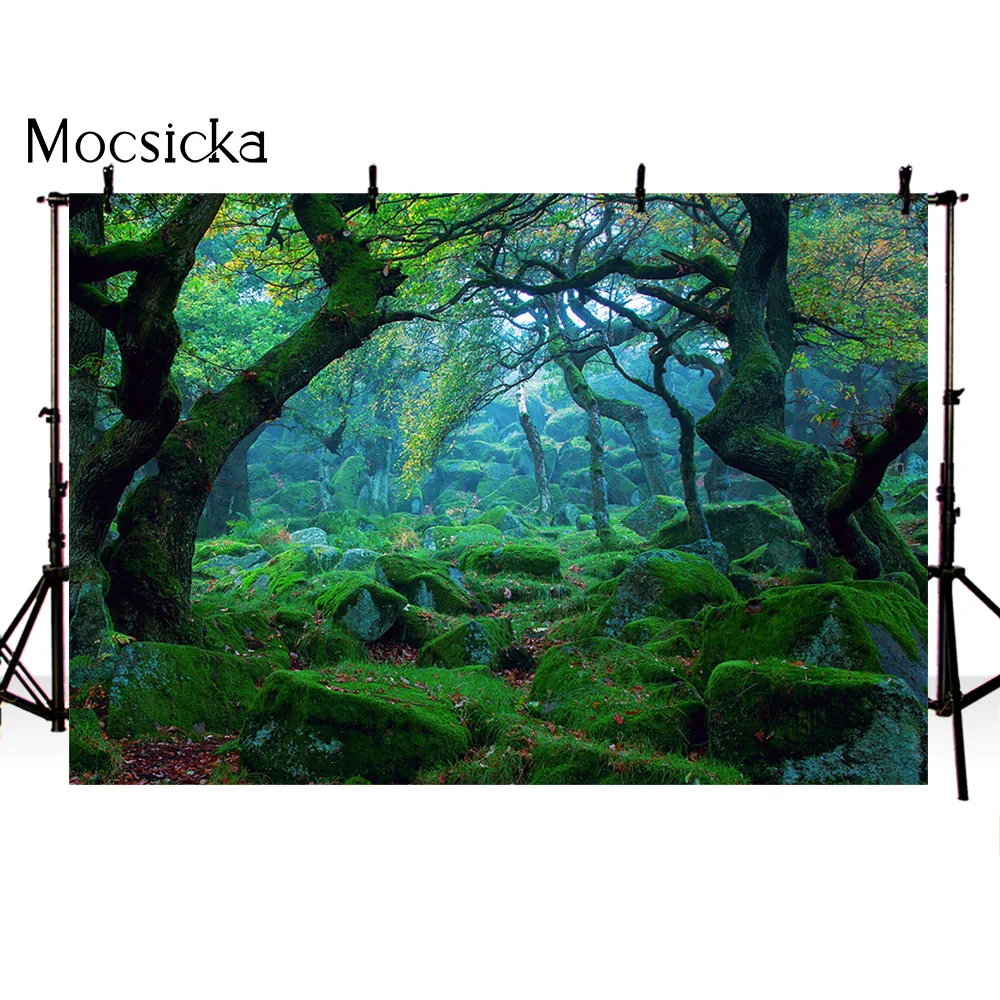 Fotohintergrund „Verzauberter Feenwald“ – 213x152 Cm, Vinyl, Mit Pilzen & Grün – Für Kinderfotos, Geburtstag & Babyparty