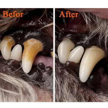 

Cute Pet Dog Cat Plush Squeak Sound Pet Teeth Cleaning Repair Kit Dog Cat Tartar Dental Stone Cleaning Pen 5ml Pets Elephant