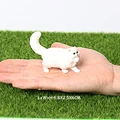 White Persian cat