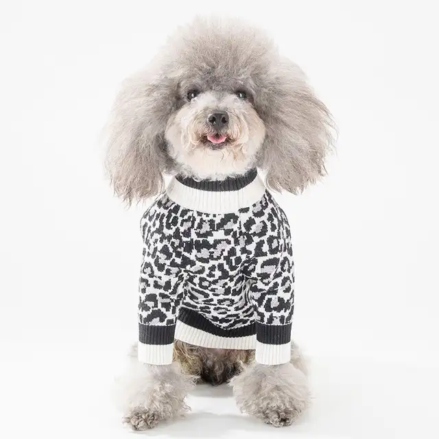 leopard dog sweater