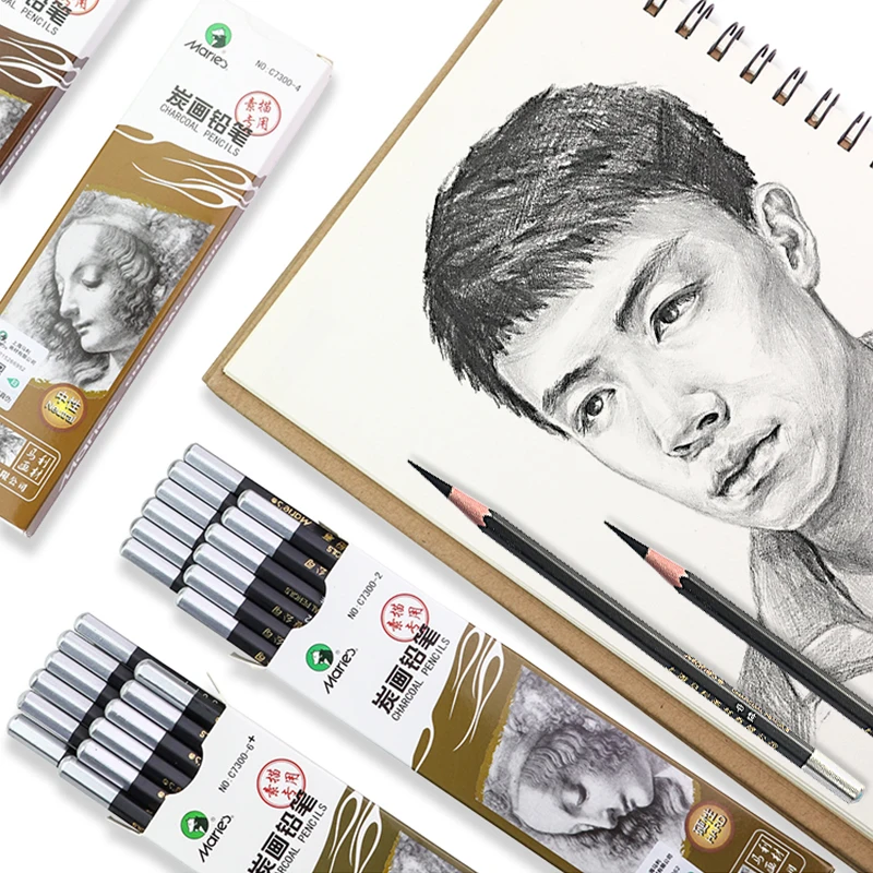 Marie's C7300 Professional Sketch Charcoal/Carbon Pencil 12pcs Soft/Medium/Hard/Extra-soft Charcoal Pens Painting Art Supplies