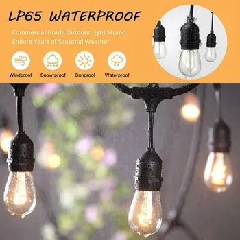 

24V Commercial Grade Patio Globe String Lights Bulbs 10LED Outdoor Waterproof For The Living Room Garden Decoration