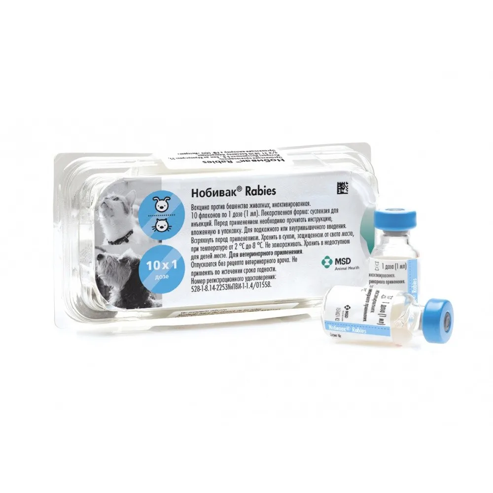 Vaksin Untuk Kucing Dan Anjing Intervet Nobivac Rabies 1 Dosis Aliexpress