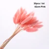 30pcs pink - 42cm