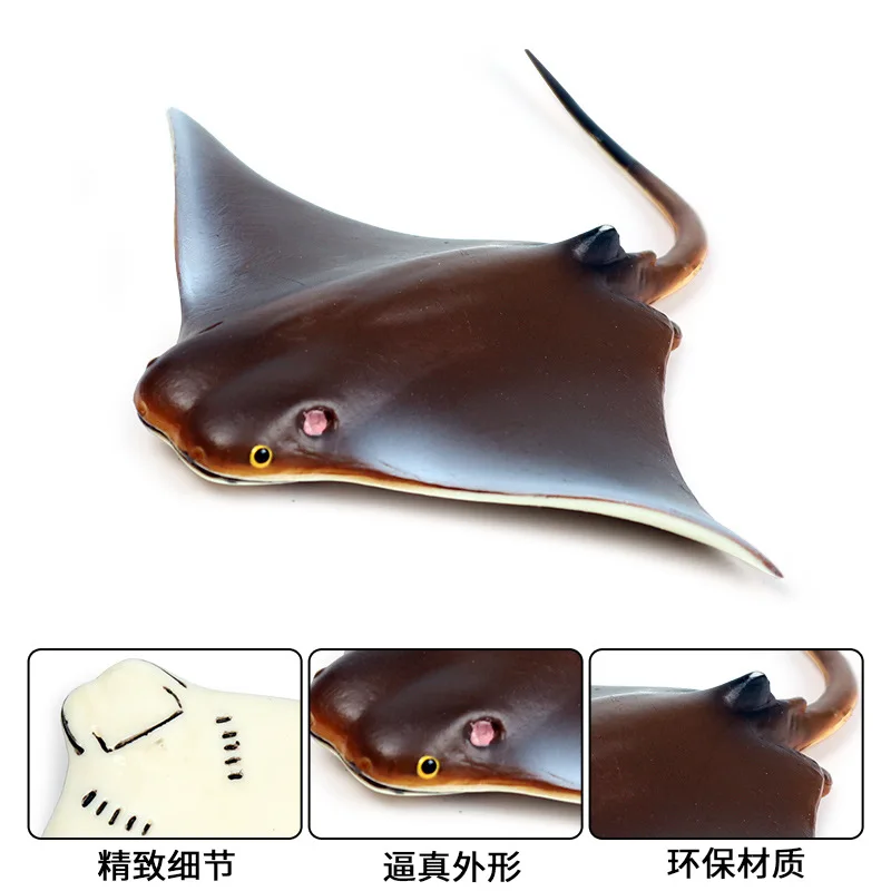 10273615058_1464955482