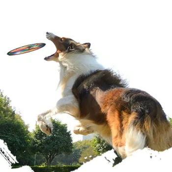 

Fun Dog Interactive Pet Puppy Set Throwing Flying Disc Interactive Pet Playing Funny Molar Training Molar Chew Bite Toys