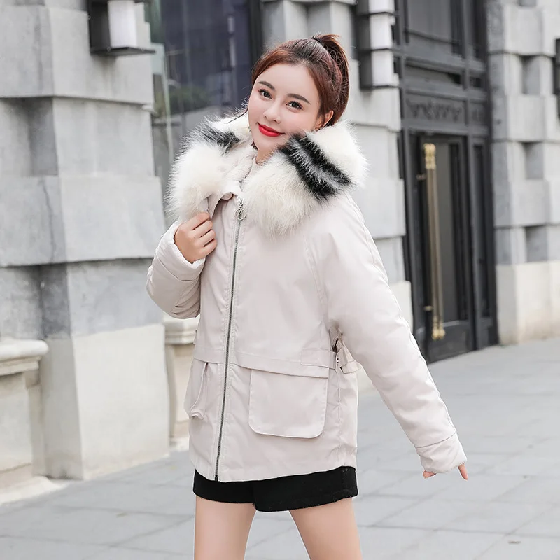 

Large Fur Collar CHIC Cotton Coat Women's Short 2019 New Style Korean-style Loose-Fit Padded Jacket Thick Winter Cotton Overcoat