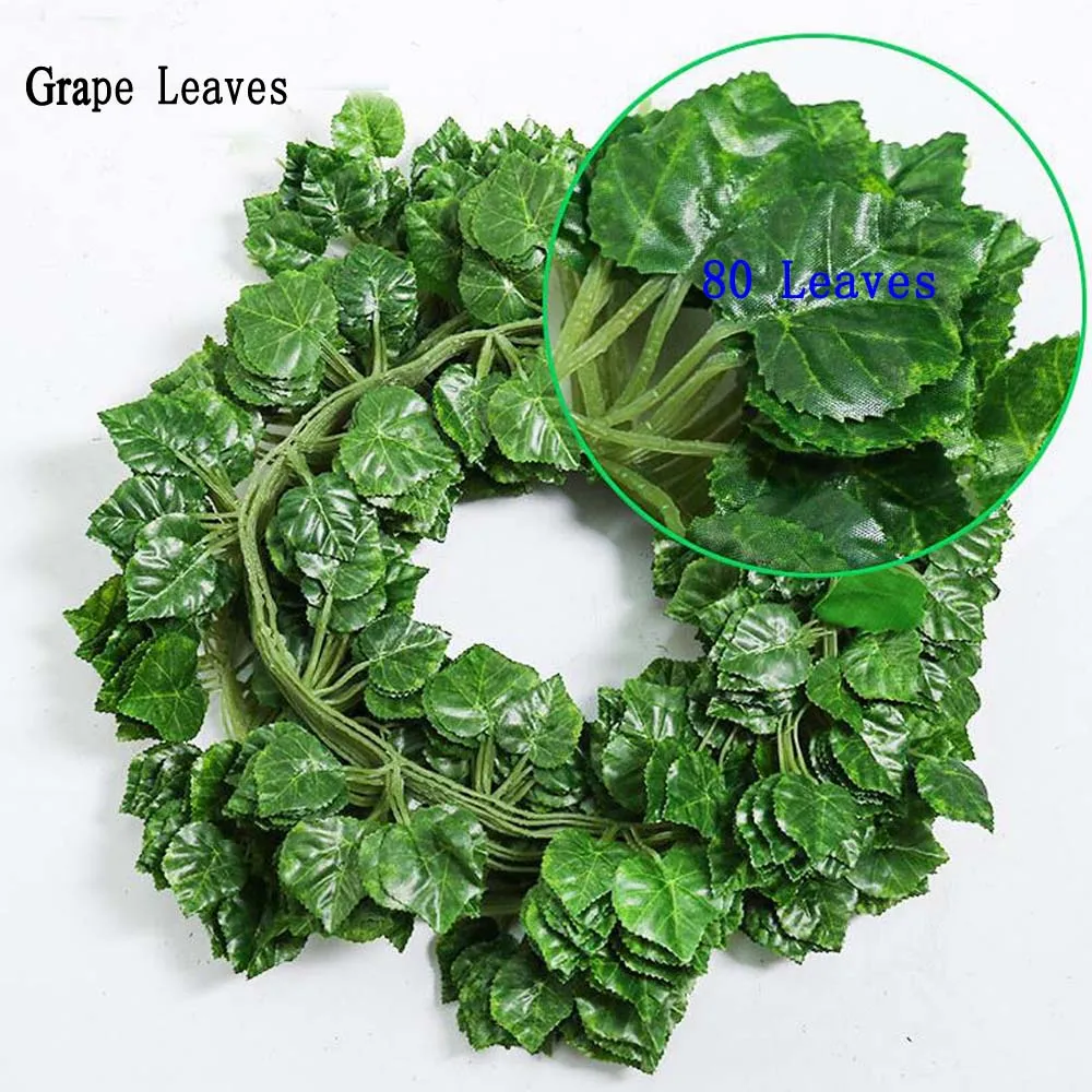 Grape Leaves 0013