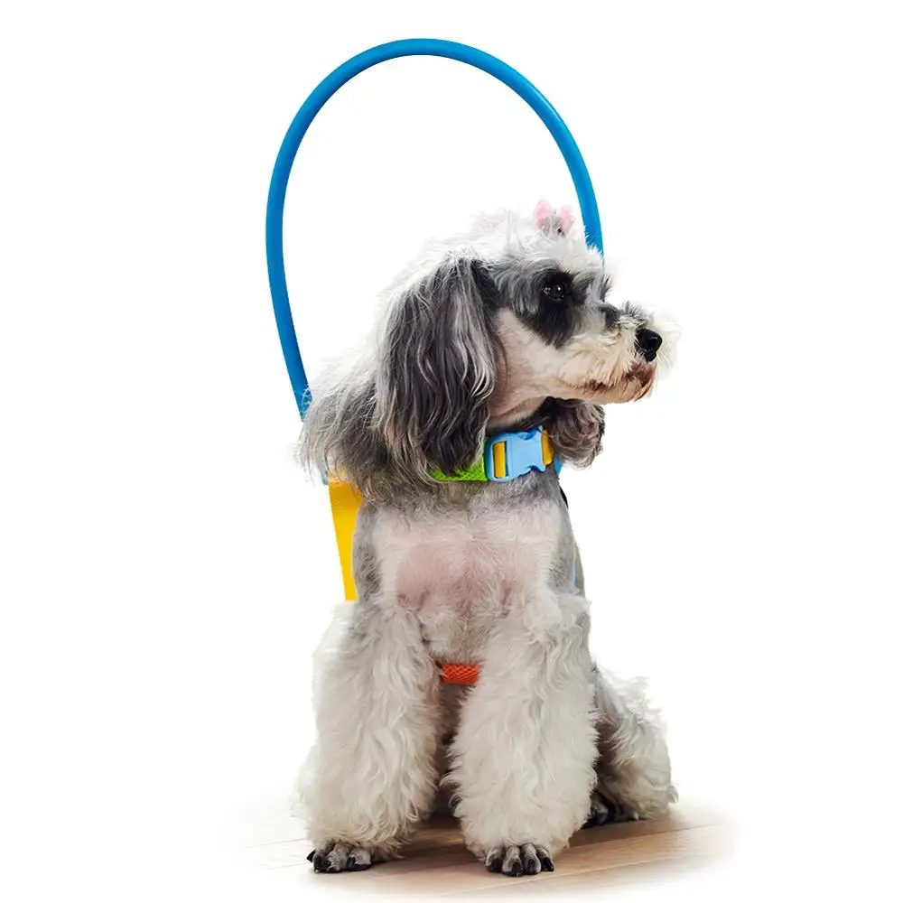 

Practical Upgraged Blind Dog Harness Vest Blind Dogs Protective Vest Ring for Dogs with Sick Eyes Pet Prevent Collision