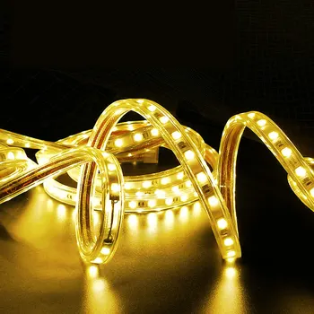 

AC 220V SMD5050 IP65 LED Strip with EU Plug Waterproof Tape for outdoor AC220V LED band 60LEDs per Meter 1M to 25M Available