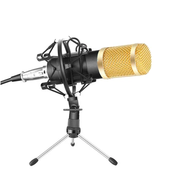 

Professional Recording Microphone With Stand Professional Condenser Studio Broadcasting Microphone Vocal Recording Device