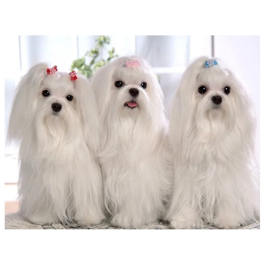 09d6e391d402b1e869a9b0a8dddfa879_HTB1YBMgNmrqK1RjSZK9q6xyypXap