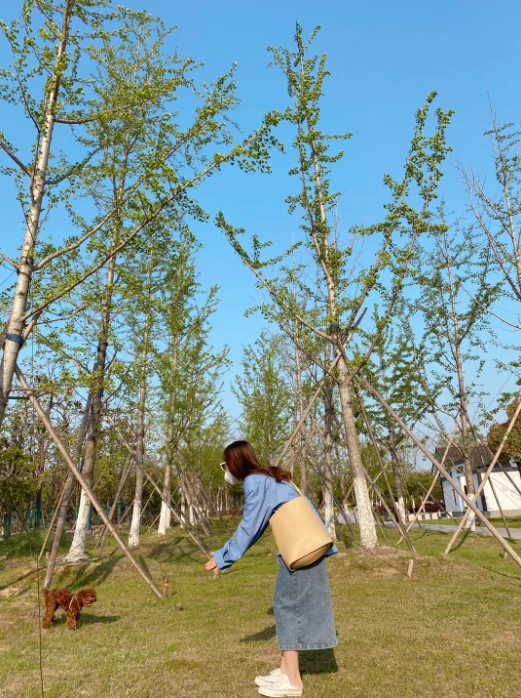 QQ截图20200517132843