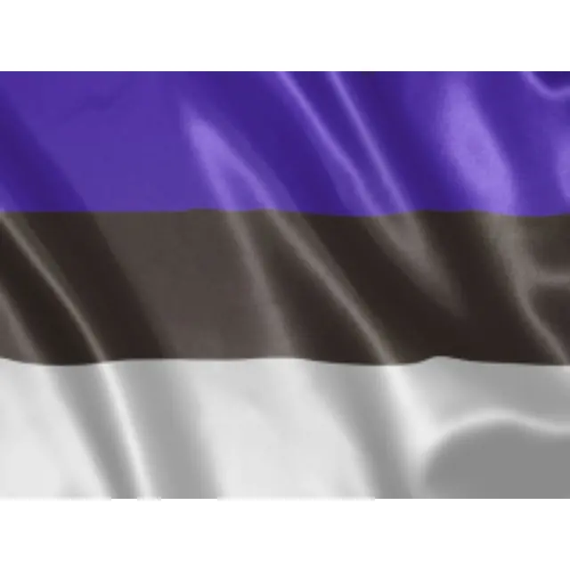 Черно серый фиолетовый флаг. Флаг Эстонии. Флаг Эстонии 20х30. Флаг Нарвы. Фиолетово черный флаг.