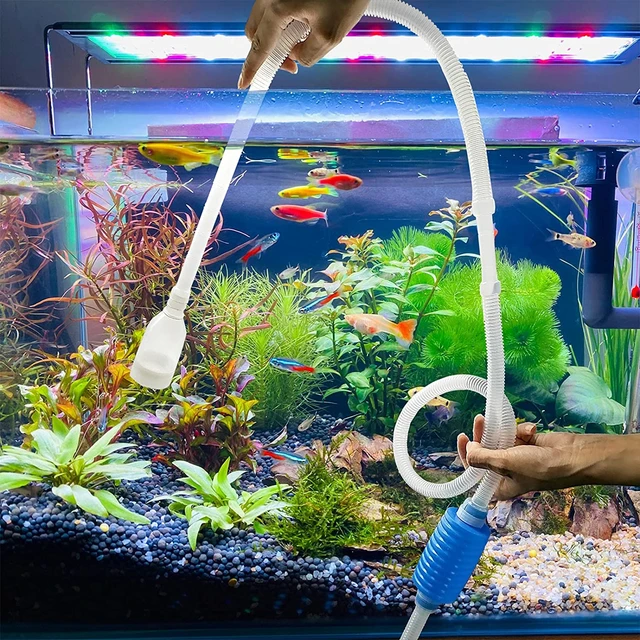 Acheter Filtre d'aquarium pour changement d'eau, filtre les