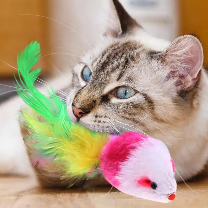

10 Pcs Cat toys False Mouse Interactive Mini Funny Animal Playing Toys With Sound Rattling For Cats Kitten Colorful Feather Cat