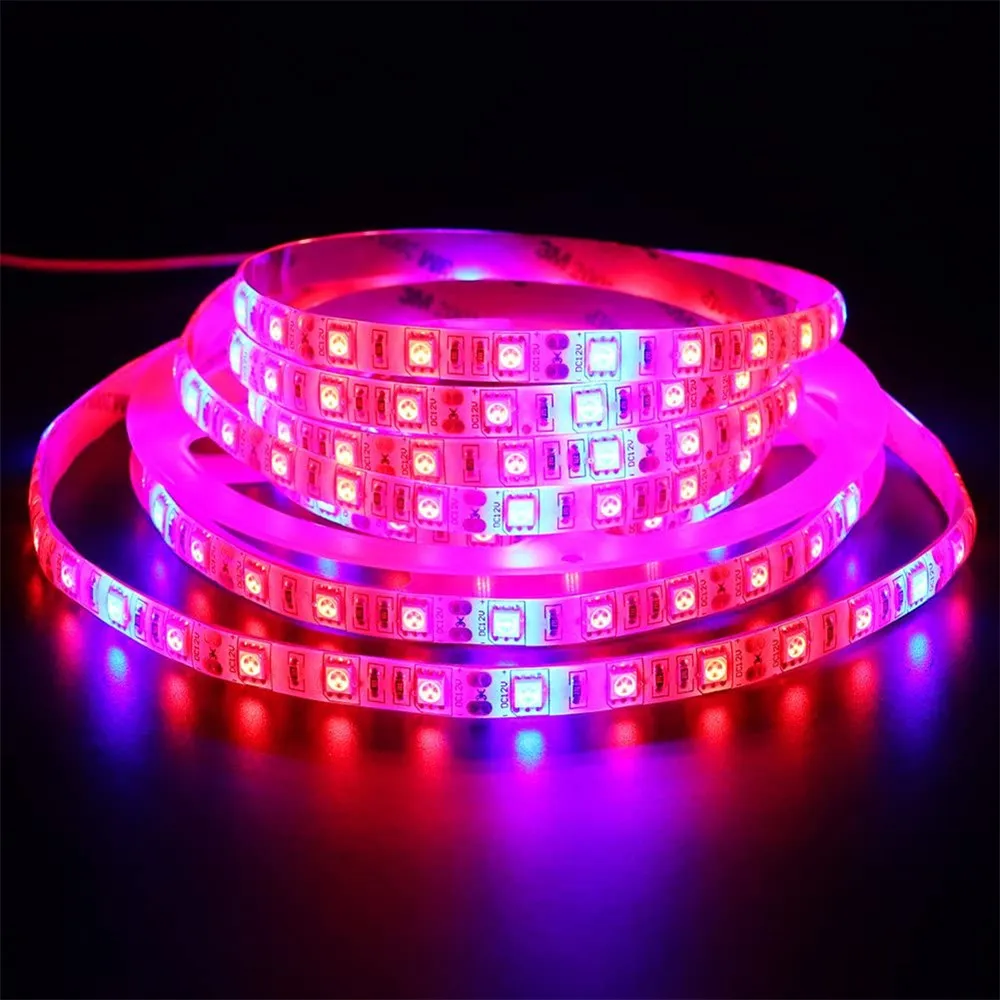 71q9OqXS7BL._AC_SL1001_