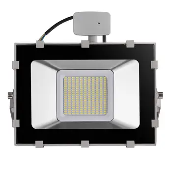 

100W LED Floodlights 5th Generation Induction Cool White 220V A Type