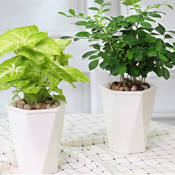 

H Colorful Plastic Planters Indoor Flower Plant Pots Modern Decorative Gardening Pot with Drainage for All House Plants PLD