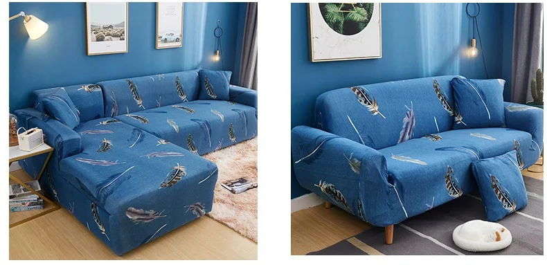 11765540327_1690726818