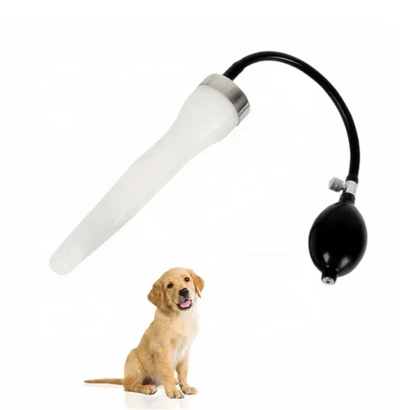 KitdinsminationartificiellepourchienkitAicanine.jpg
