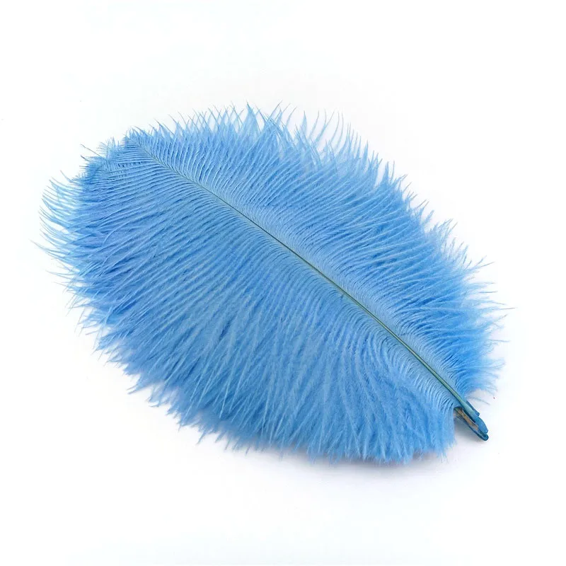 Sky Blue feathers