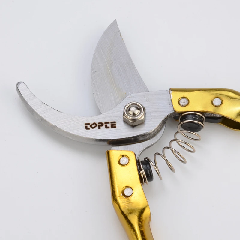 Golden Fruit Tree Pruning Scissor Cutter Head SK-5 High-carbon Steel Test Cutting 25mm Diameter Suitable For Fruit Tree