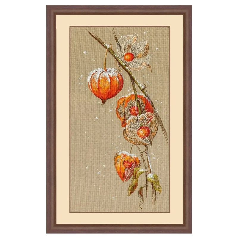 Counted Cross Stitch Kit Lantern Flower Red Flower Physical Alkekengi Autumn Ground Cherry cross stitch kit