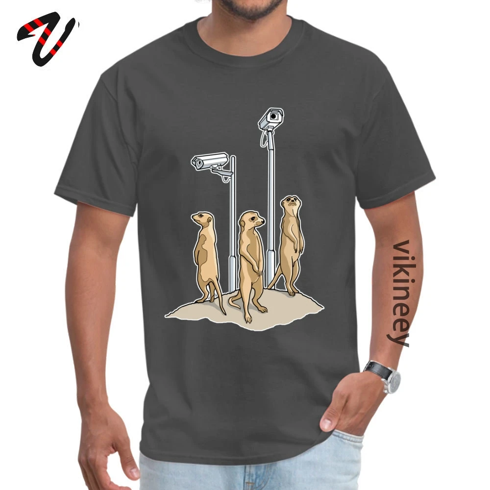 Meerkat CCTV Classic Simple Style Tees O Neck Summer Autumn Pure Cotton Short Sleeve T Shirts for Men Classic T Shirts Meerkat CCTV 8075 carbon