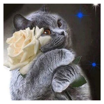 

DIY Animal Diamond Painting Cross Stitch Full Round Diamond Embroidery Cat and Flower Pictures of Rhinestones