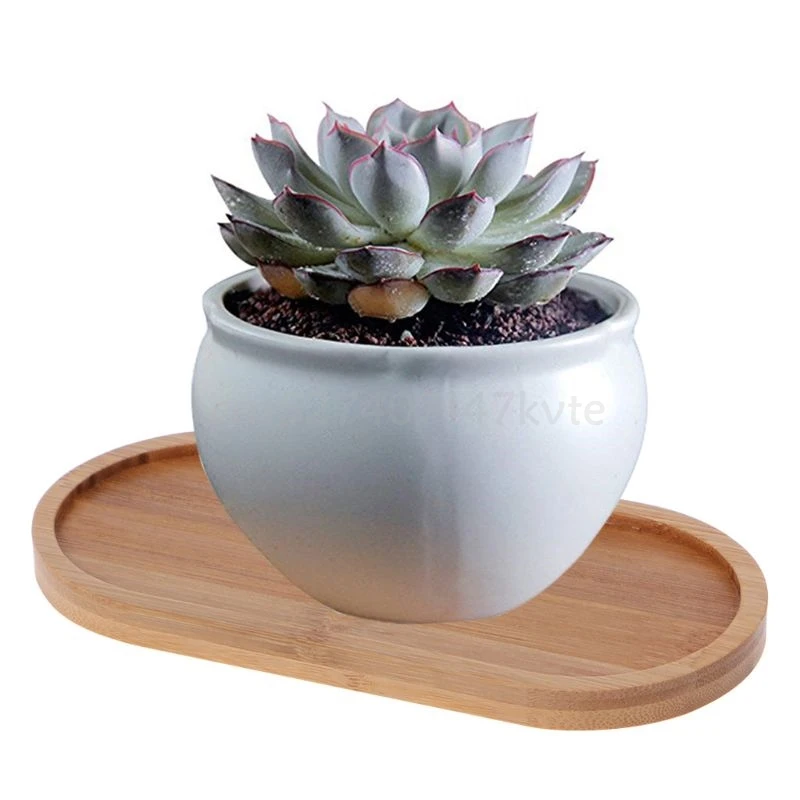 Oval-Shape-Bamboo-Wood-Saucer-Plant-Tray-Mini-Plant-Flower-Pot-Stand-Favor-Succulent-Pot-Tray.jpg Ovális Formájú Bambusz Fa Csészealj Növényi Tálca Mini Pot Állványa Kedvelt Zamatos Edény Egyszerű, Elegáns Dizájn Dekoráció - Image 3