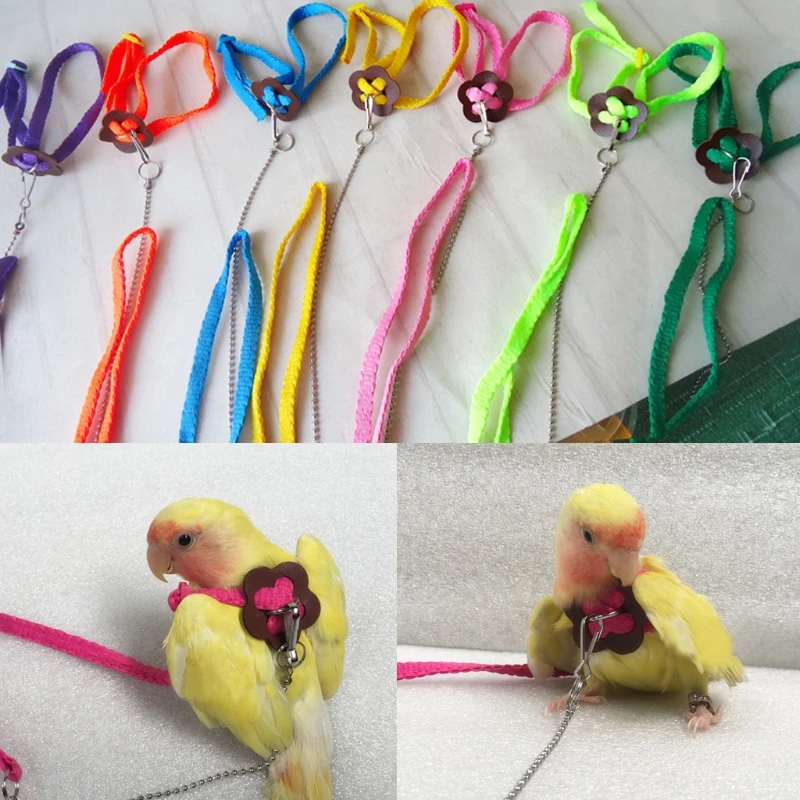 Parrot Bird Leash Outdoor Adjustable Harness Training Rope Anti Bite Flying Band