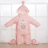 pink rabbit