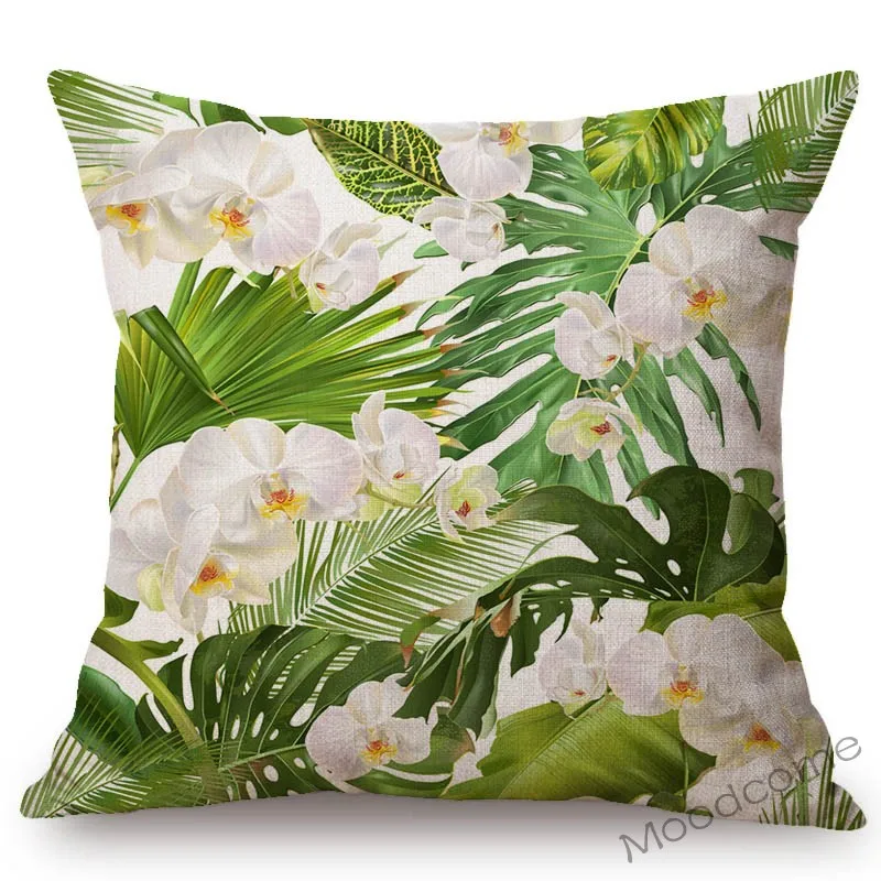 conew_n344 (3) 副本