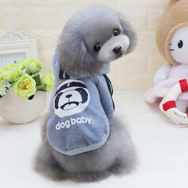 3885001112_277183843