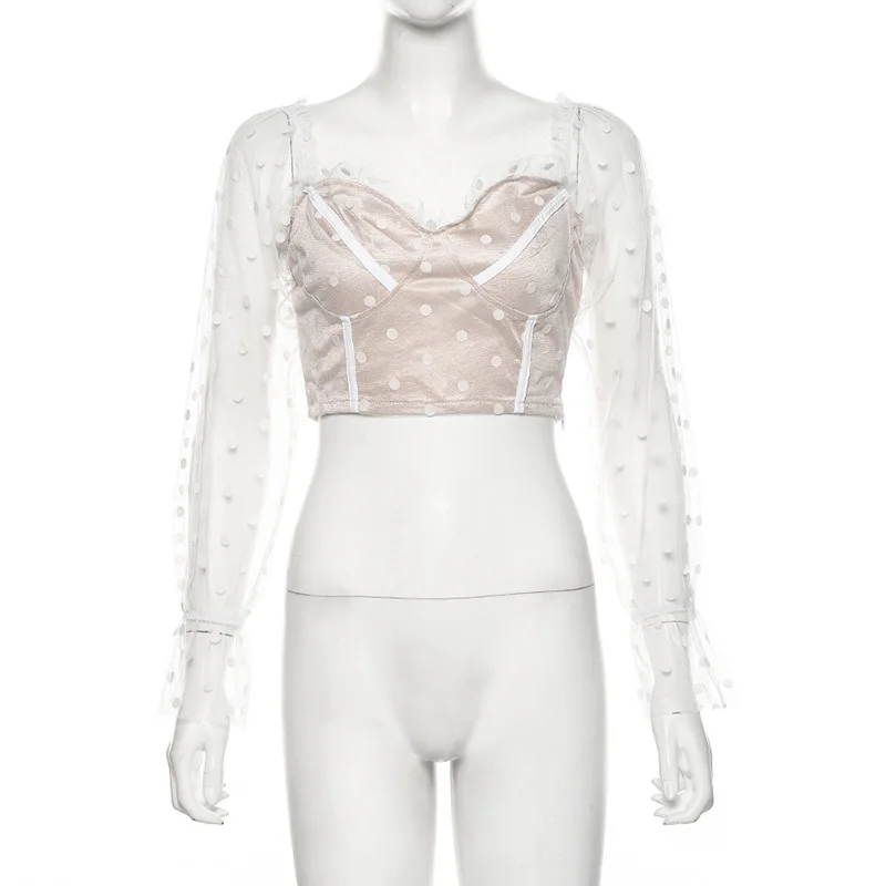 12050225145_1973477789