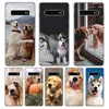 Mobile Phone Accessories