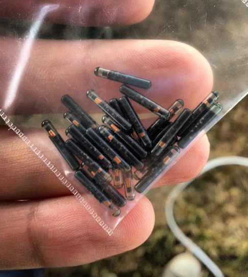 Screen-Shot-2012-08-13-at-12.12.25-AM