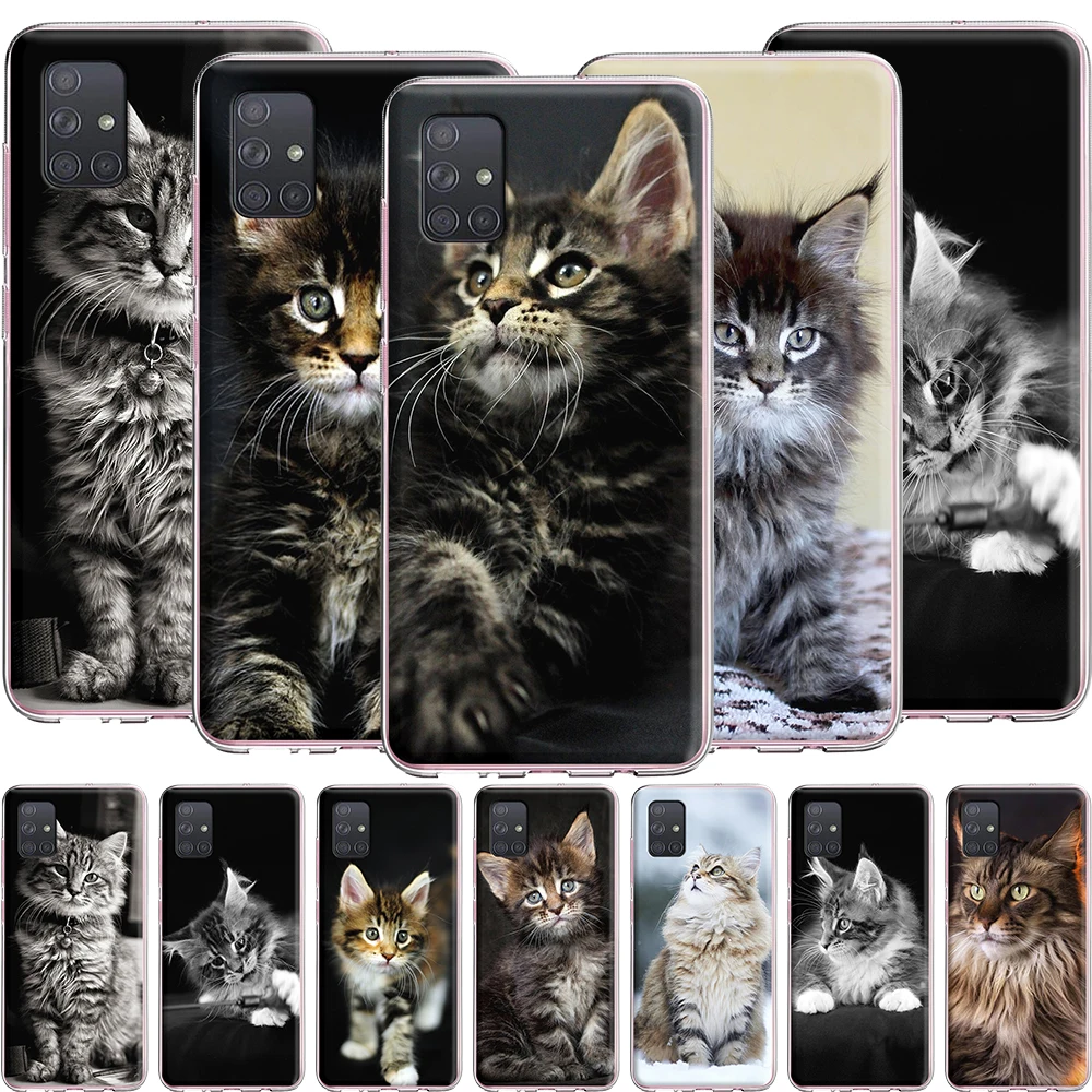 Maine Coon Cat Case for Samsung Galaxy A51 A71 A81 A91 A20 A20S A20E A30 A30S A40S A50 A50S A60 A70 A70S |