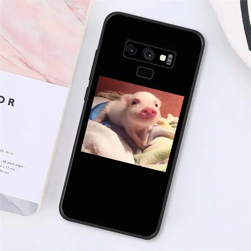 Cute Little Pink Pet Pig