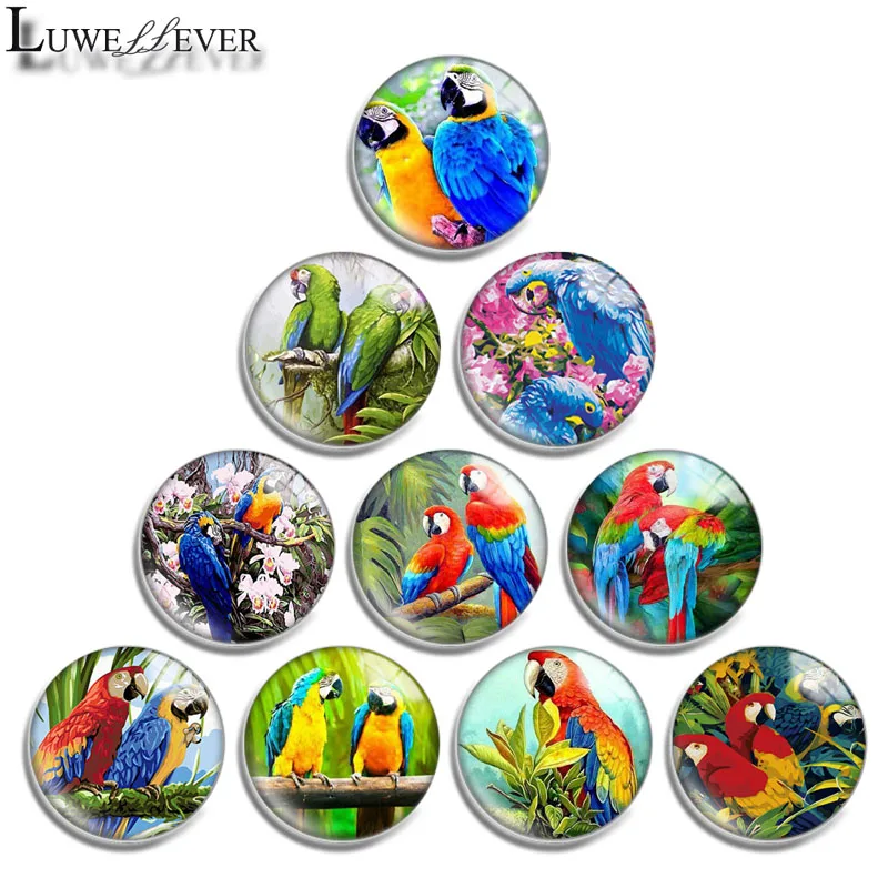 

10mm 12mm 16mm 20mm 25mm 30mm 657 Parrot Mix Round Glass Cabochon Jewelry Finding 18mm Snap Button Charm Bracelet