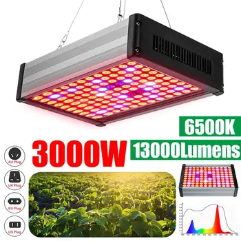 

3000W 6500K Phyto Lamps LED Grow Light Full Spectrum Plant Lighting For Plants Flowers Seedling Cultivation